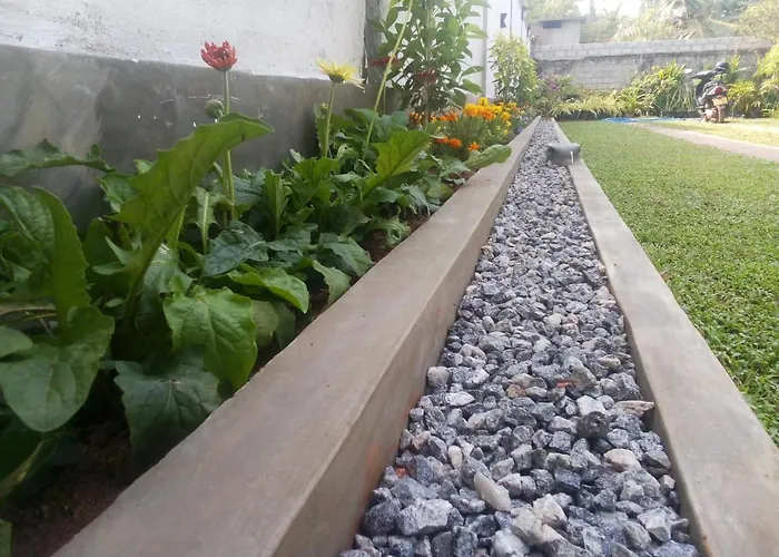 Green Grass Garden